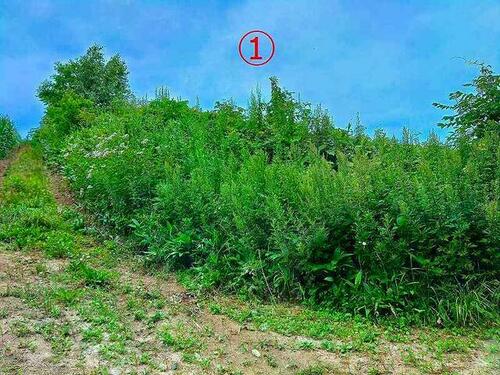 Land in Kitanominechō, Furano – photo 4 of 11 – Furano, Furano Basin, Hokkaido, Japan