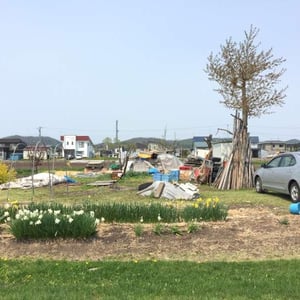 Land in Midorimachi, Pippu
