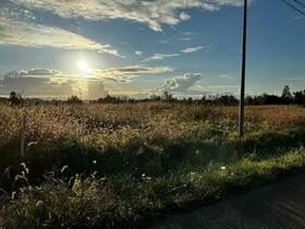 Land in Midorimachi, Fukagawa – photo 10 of 14 – Fukagawa, Asahikawa, Hokkaido, Japan