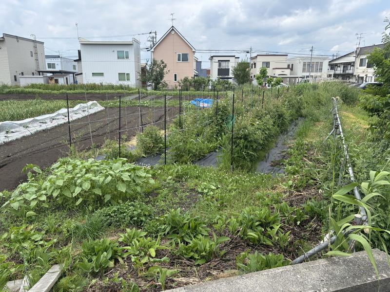 Land in Minami 2 Jōdōri, Asahikawa – photo 5 of 21 – Asahikawa, Asahikawa, Hokkaido, Japan