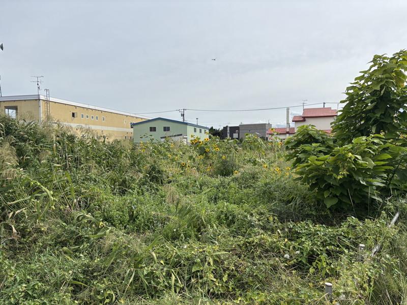 Land in Minami 2 Jōdōri, Asahikawa – photo 10 of 21 – Asahikawa, Asahikawa, Hokkaido, Japan