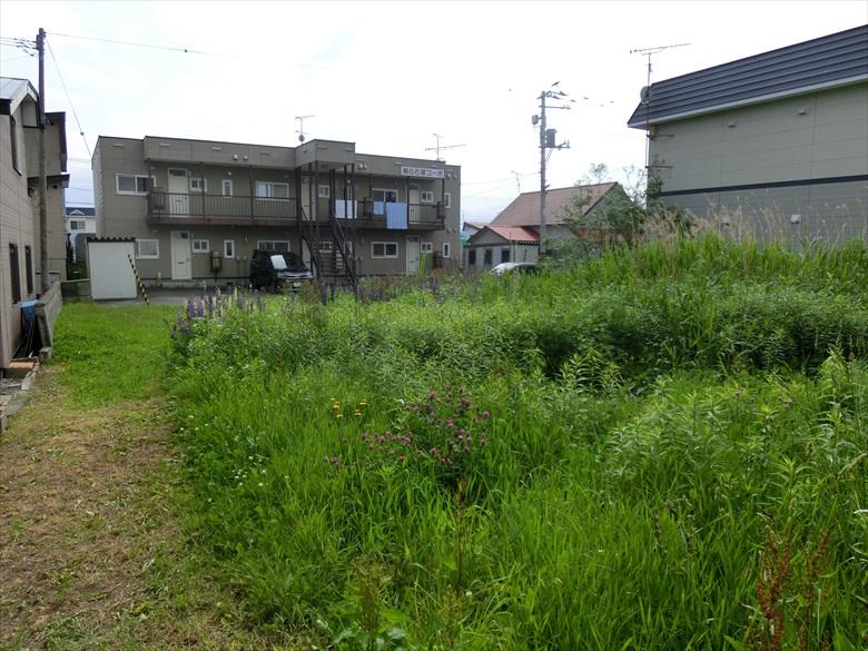 Land in Miyamachi, Kamifurano – photo 5 of 7 – Kamifurano, Furano Basin, Hokkaido, Japan