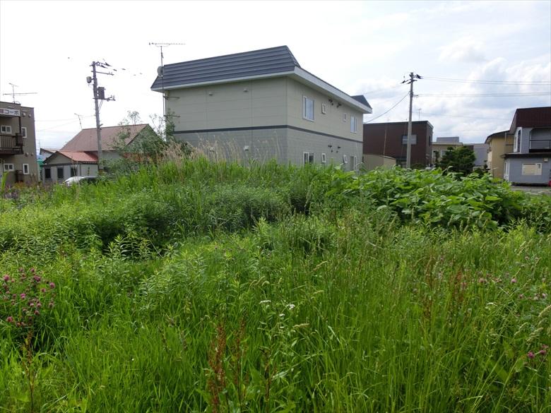 Land in Miyamachi, Kamifurano – photo 6 of 7 – Kamifurano, Furano Basin, Hokkaido, Japan