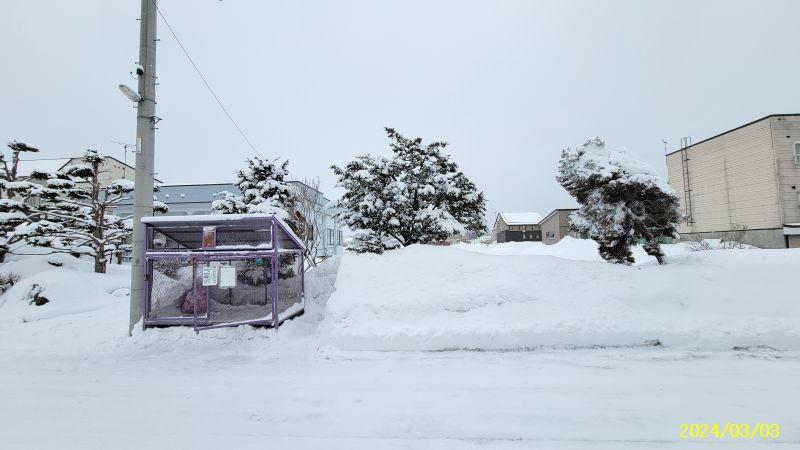 Land in Motomachi, Kamifurano – photo 10 of 16 – Kamifurano, Furano Basin, Hokkaido, Japan