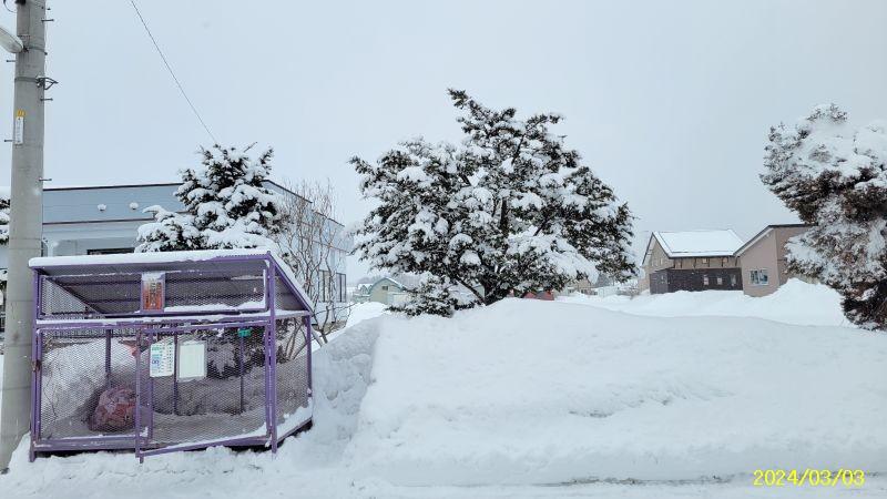Land in Motomachi, Kamifurano – photo 11 of 16 – Kamifurano, Furano Basin, Hokkaido, Japan