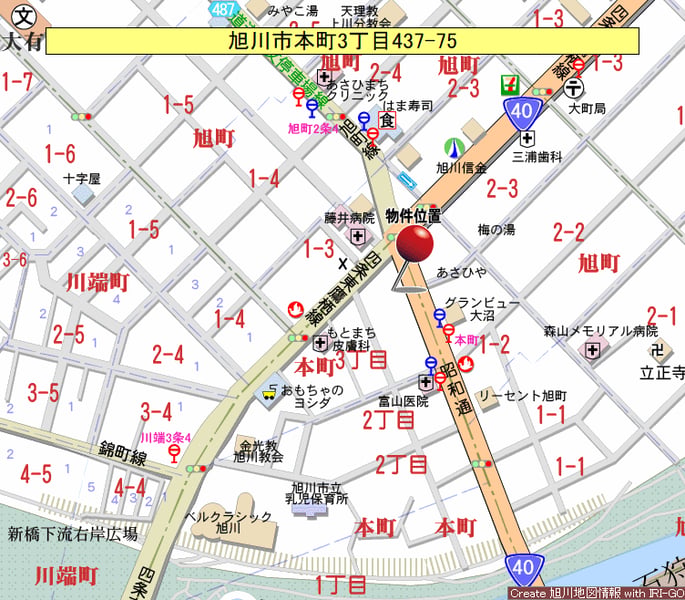 Land in Motomachi, Asahikawa – photo 3 of 6 – Asahikawa, Asahikawa, Hokkaido, Japan
