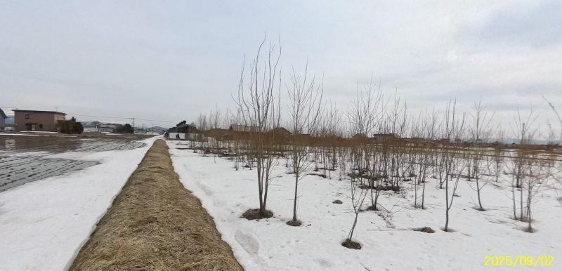 Land in Nagayama Kita, Asahikawa – photo 15 of 15 – Asahikawa, Asahikawa, Hokkaido, Japan