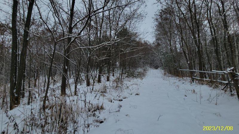 Land in Nakafurano – photo 22 of 29 – Nakafurano, Furano Basin, Hokkaido, Japan