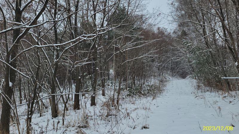 Land in Nakafurano – photo 24 of 29 – Nakafurano, Furano Basin, Hokkaido, Japan