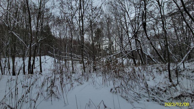 Land in Nakafurano – photo 25 of 29 – Nakafurano, Furano Basin, Hokkaido, Japan