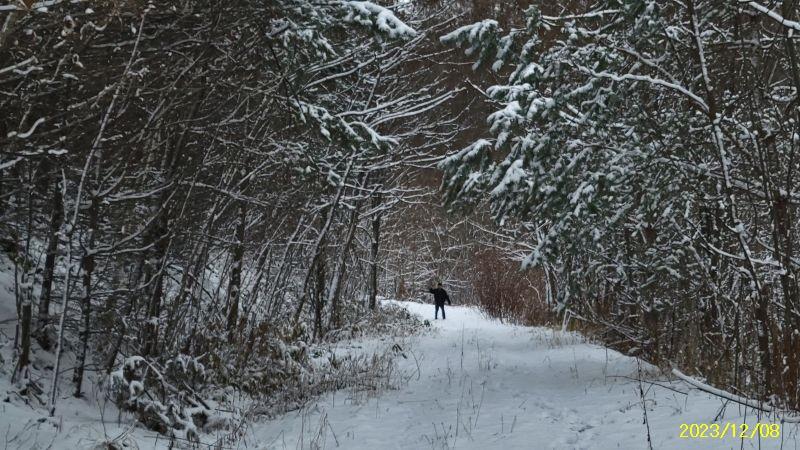 Land in Nakafurano – photo 26 of 29 – Nakafurano, Furano Basin, Hokkaido, Japan