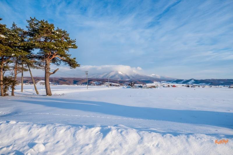 Land in Nakafurano – photo 3 of 5 – Nakafurano, Furano Basin, Hokkaido, Japan