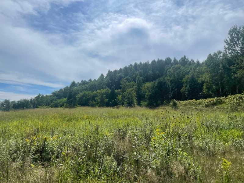 Land in Nakafurano – photo 6 of 9 – Nakafurano, Furano Sorachi, Hokkaido, Japan