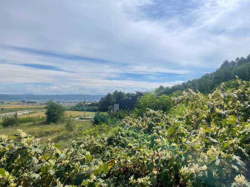 Land in Nakafurano – photo 9 of 9 – Nakafurano, Furano Sorachi, Hokkaido, Japan