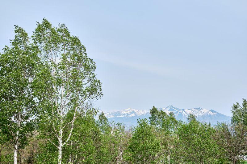Land in Nakafurano Shikauchinojo, Nakafurano – photo 4 of 5 – Nakafurano, Furano Basin, Hokkaido, Japan