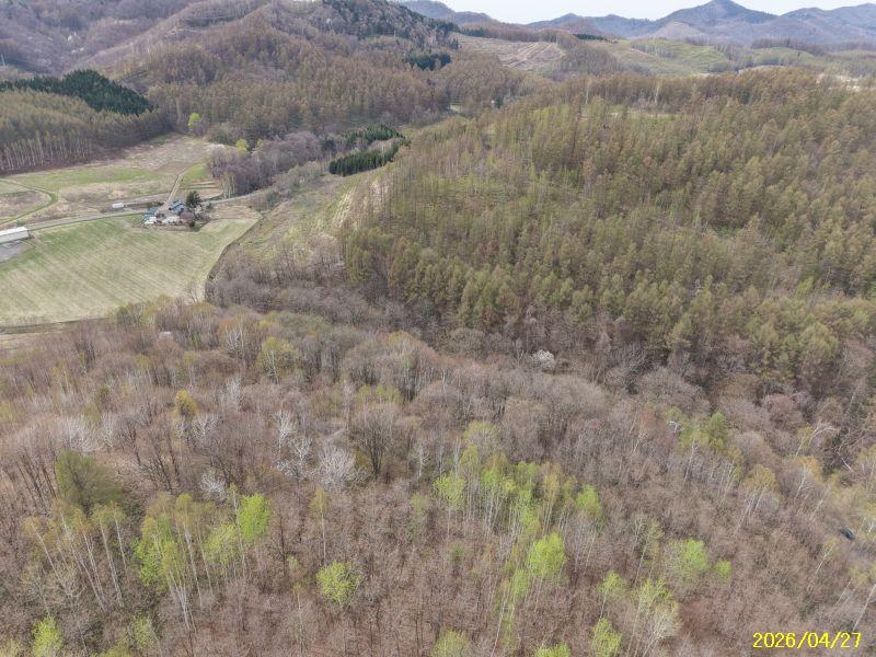 Land in Nakafurano Shikauchinojo, Nakafurano – photo 12 of 20 – Nakafurano, Furano Sorachi, Hokkaido, Japan