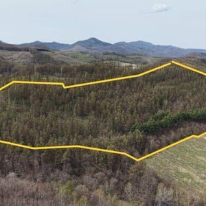 Land in Nakafurano Shikauchinojo, Nakafurano