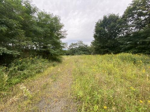 Land in Nakagoryo, Furano – photo 7 of 10 – Furano, Furano Basin, Hokkaido, Japan