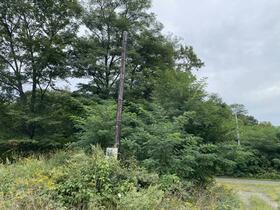 Land in Nakagoryo, Furano – photo 8 of 10 – Furano, Furano Basin, Hokkaido, Japan