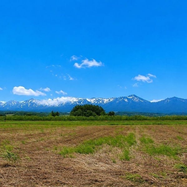 Land in Nishi 3 Senkita, Kamifurano – Kamifurano, Furano Basin, Hokkaido, Japan
