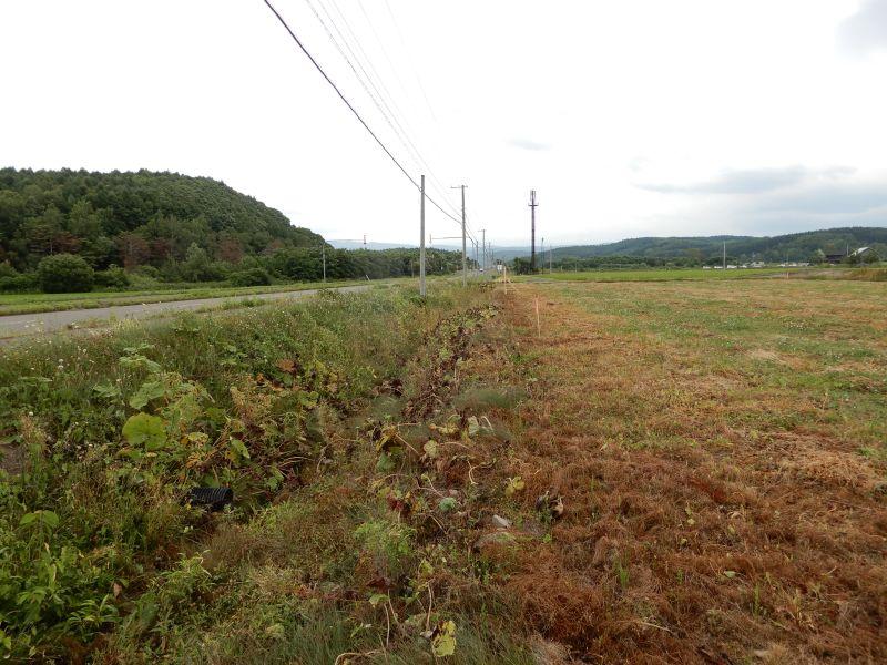 Land in Nishi, Higashikawa – photo 7 of 8 – Higashikawa, Daisetsuzan Foothills, Hokkaido, Japan