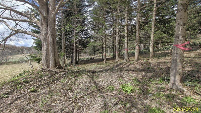 Land in Nishi, Higashikawa – Higashikawa, Daisetsuzan Foothills, Hokkaido, Japan