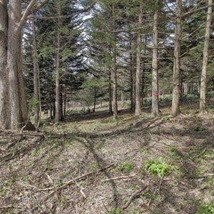Land in Nishi, Higashikawa