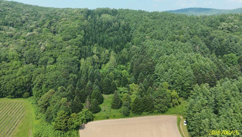 Land in Nishi, Higashikawa – photo 6 of 13 – Higashikawa, Daisetsuzan Foothills, Hokkaido, Japan
