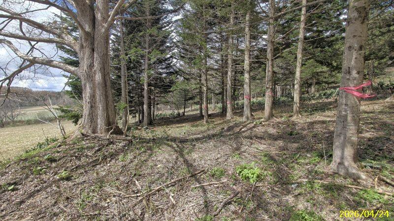 Land in Nishi, Higashikawa – photo 8 of 13 – Higashikawa, Daisetsuzan Foothills, Hokkaido, Japan