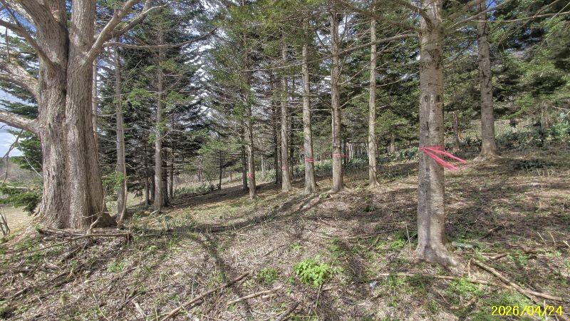 Land in Nishi, Higashikawa – photo 9 of 13 – Higashikawa, Daisetsuzan Foothills, Hokkaido, Japan