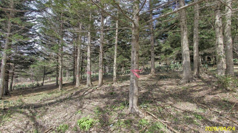 Land in Nishi, Higashikawa – photo 10 of 13 – Higashikawa, Daisetsuzan Foothills, Hokkaido, Japan