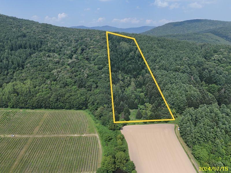 Land in Nishi, Higashikawa – photo 11 of 13 – Higashikawa, Daisetsuzan Foothills, Hokkaido, Japan