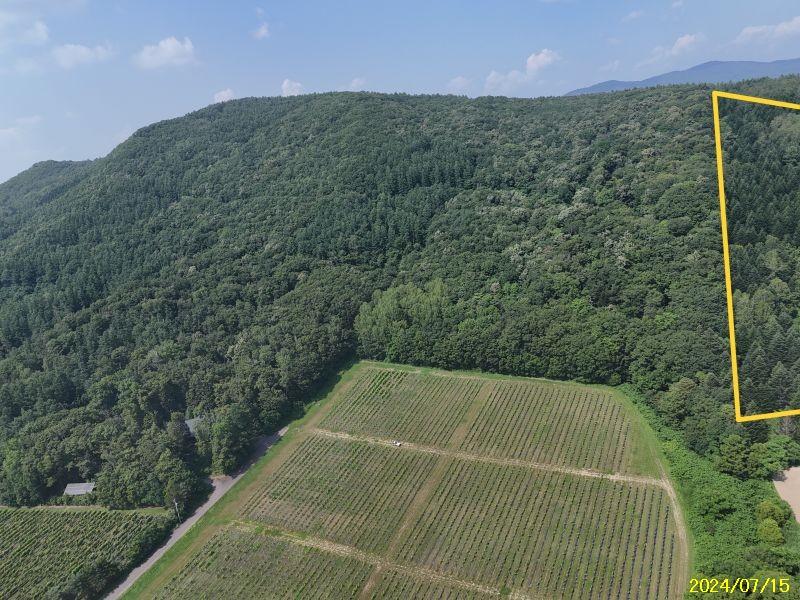 Land in Nishi, Higashikawa – photo 13 of 13 – Higashikawa, Daisetsuzan Foothills, Hokkaido, Japan