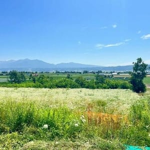 Land in Nishigakuden2ku, Furano