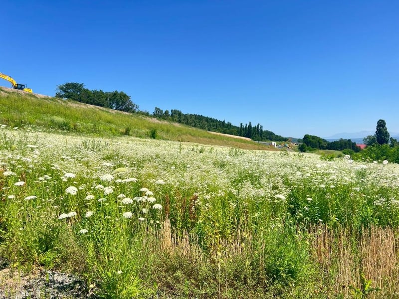 Land in Nishigakuden2ku, Furano – photo 4 of 13 – Furano, Furano Basin, Hokkaido, Japan