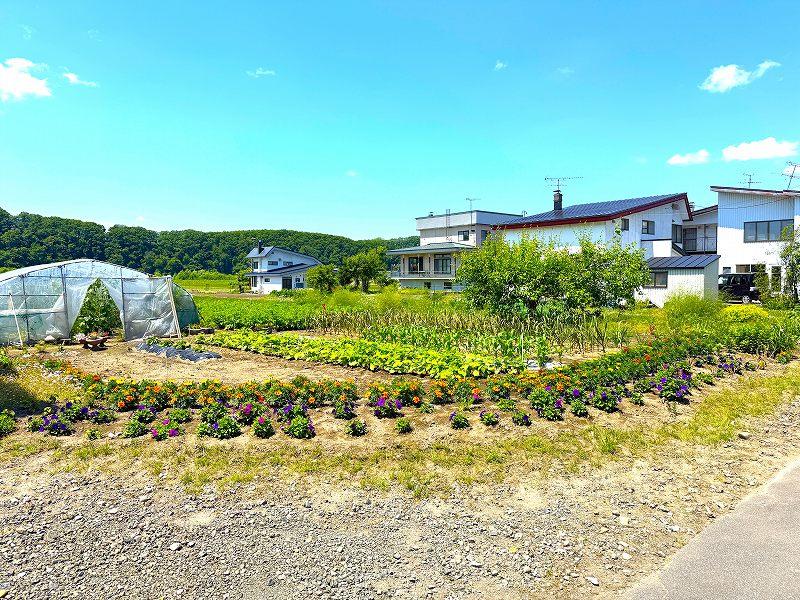 Land in Nishikagura 1 Sen, Asahikawa – photo 4 of 7 – Asahikawa, Asahikawa, Hokkaido, Japan