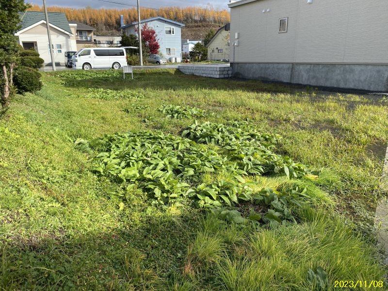 Land in Nishikagura Kita, Asahikawa – photo 7 of 11 – Asahikawa, Asahikawa, Hokkaido, Japan