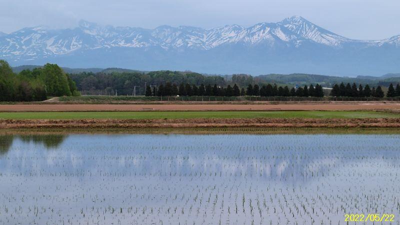 Land in Nishimachi, Kamifurano – photo 8 of 10 – Kamifurano, Furano Basin, Hokkaido, Japan