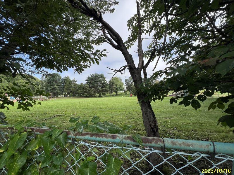 Land in Nishimachi, Kamifurano – photo 7 of 17 – Kamifurano, Furano Basin, Hokkaido, Japan