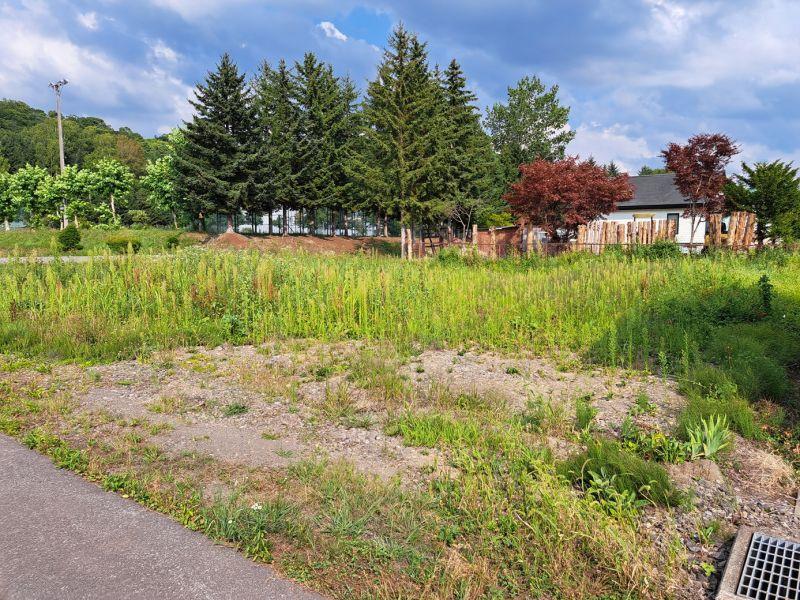 Land in Nishimachi, Kamikawa – photo 5 of 9 – Kamikawa, Daisetsuzan Foothills, Hokkaido, Japan