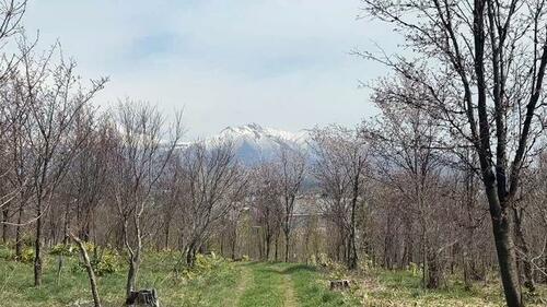 Land in Nishimachi, Kamifurano – photo 7 of 9 – Kamifurano, Furano Basin, Hokkaido, Japan