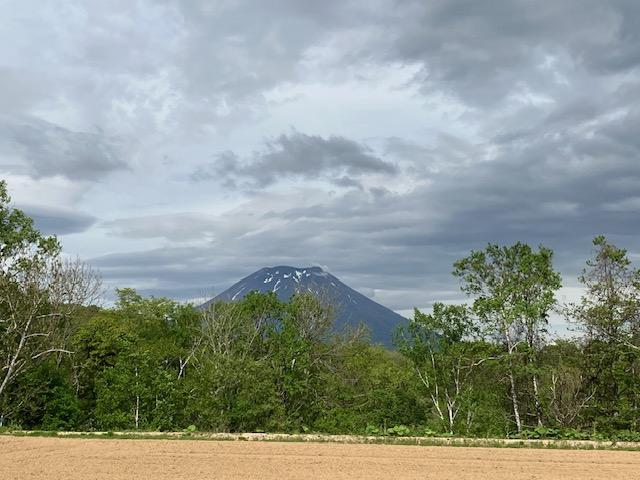 Land in Nishitomi, Niseko – Niseko, Hokkaido, Hokkaido, Japan