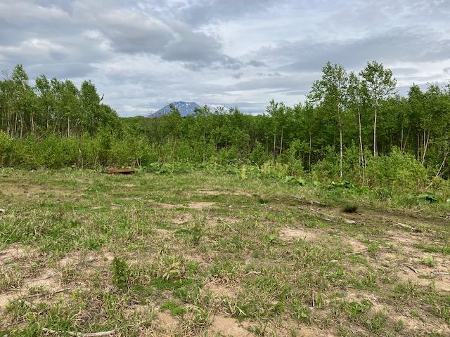 Land in Nishitomi, Niseko – photo 4 of 11 – Niseko, Hokkaido, Hokkaido, Japan