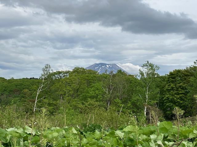 Land in Nishitomi, Niseko – photo 5 of 11 – Niseko, Hokkaido, Hokkaido, Japan
