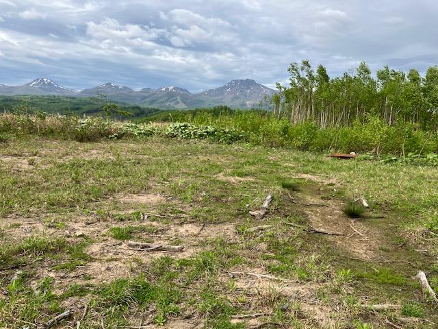 Land in Nishitomi, Niseko – photo 6 of 11 – Niseko, Hokkaido, Hokkaido, Japan