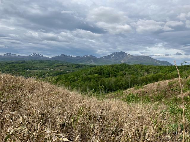 Land in Nishitomi, Niseko – photo 7 of 11 – Niseko, Hokkaido, Hokkaido, Japan