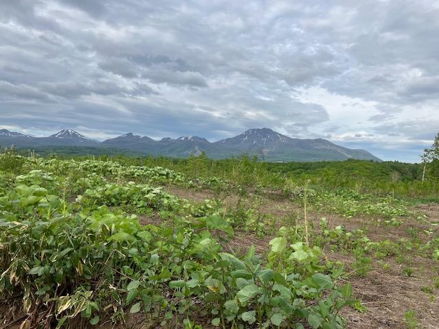 Land in Nishitomi, Niseko – photo 8 of 11 – Niseko, Hokkaido, Hokkaido, Japan