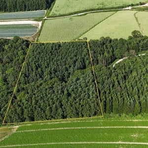 Land in Nokanan, Higashikawa