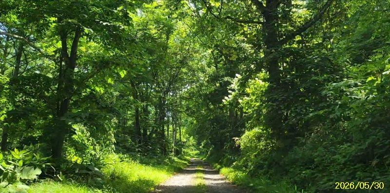 Land in Nokanan, Higashikawa – photo 3 of 12 – Higashikawa, Daisetsuzan Foothills, Hokkaido, Japan