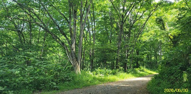Land in Nokanan, Higashikawa – photo 4 of 12 – Higashikawa, Daisetsuzan Foothills, Hokkaido, Japan